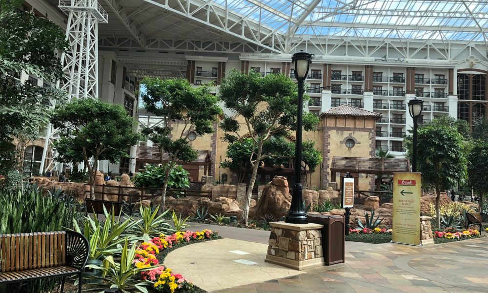 BIOESQUE® SOLUTIONS