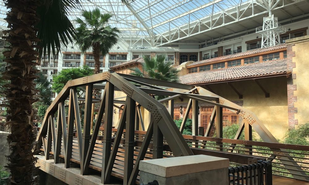 BIOESQUE® SOLUTIONS