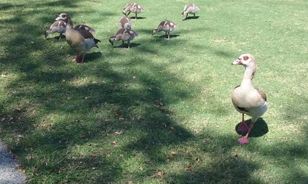 Boca Delray Golf & Country Club