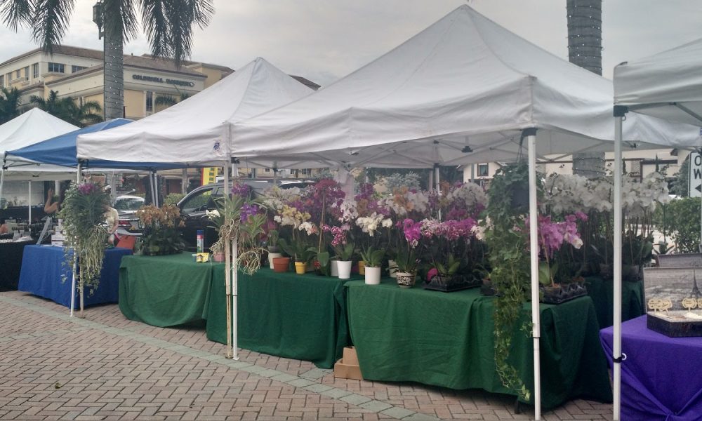Boca Green Market