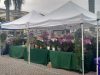 Boca Green Market