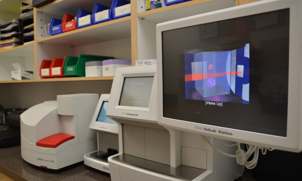 Boca Midtowne Animal Hospital