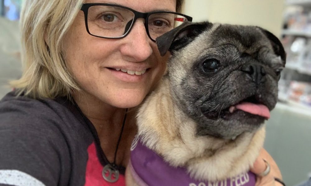 Boca Veterinary Clinic