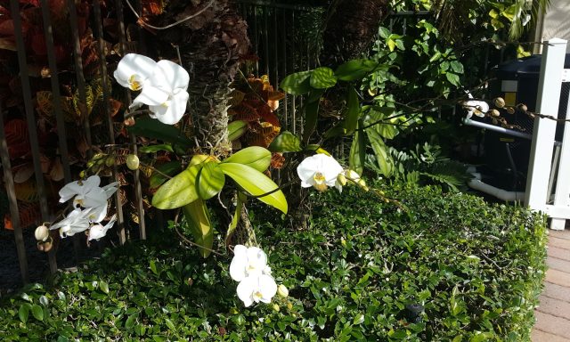 Boca West Country Club