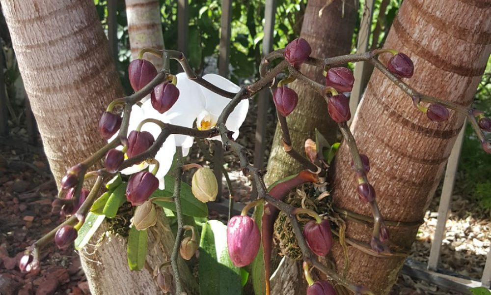 Boca West Country Club