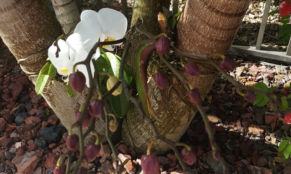 Boca West Country Club