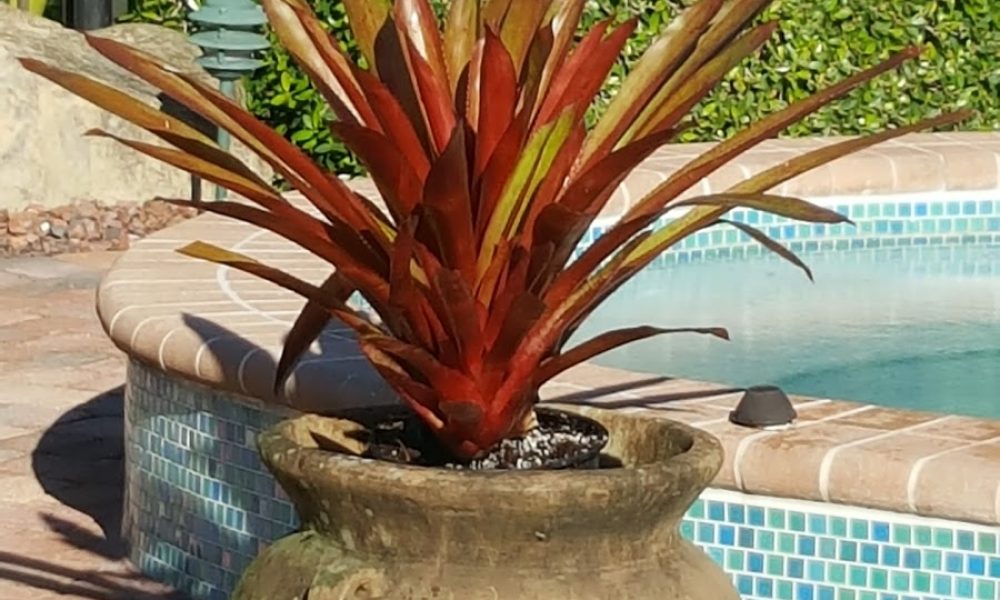 Boca West Country Club