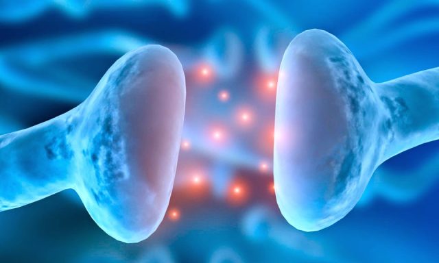 Brain and Wellness Center