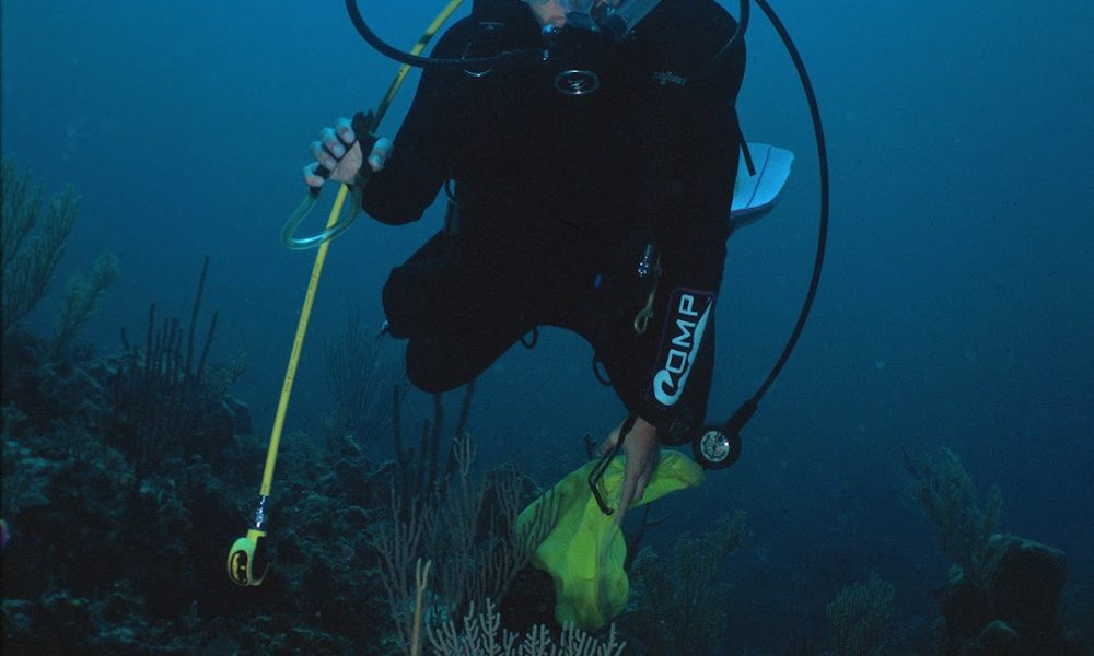 Charles E. Schmidt College of Science