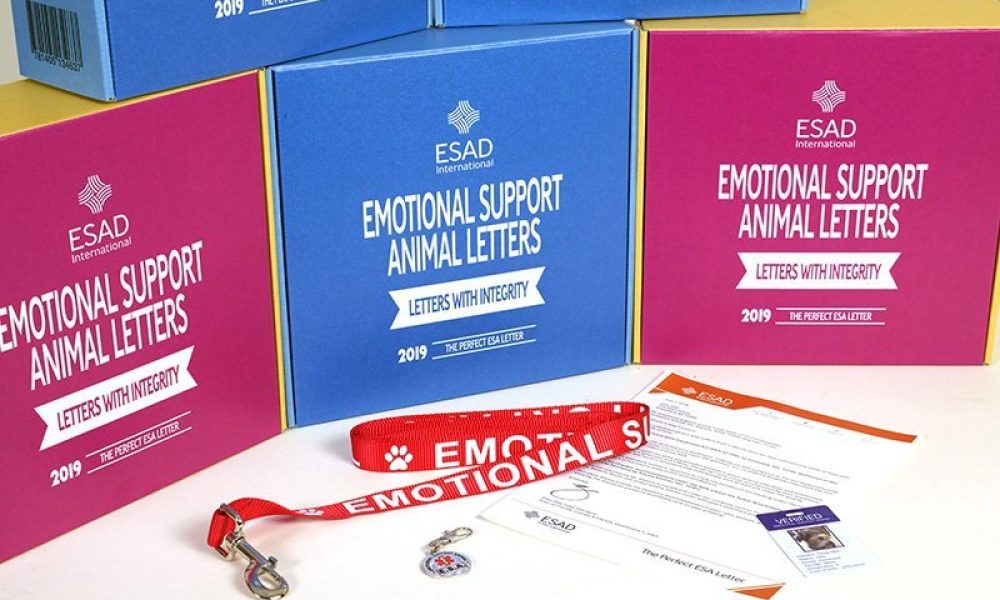 ESAD Intl. (ESADoggy)