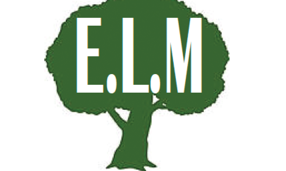 Employee Leasing Marketplace, Inc