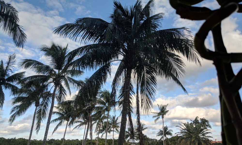 Geosyntec Consultants