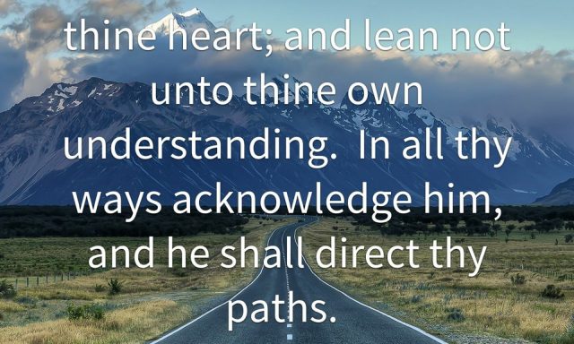 Healthcare Profit Assurance, LLC