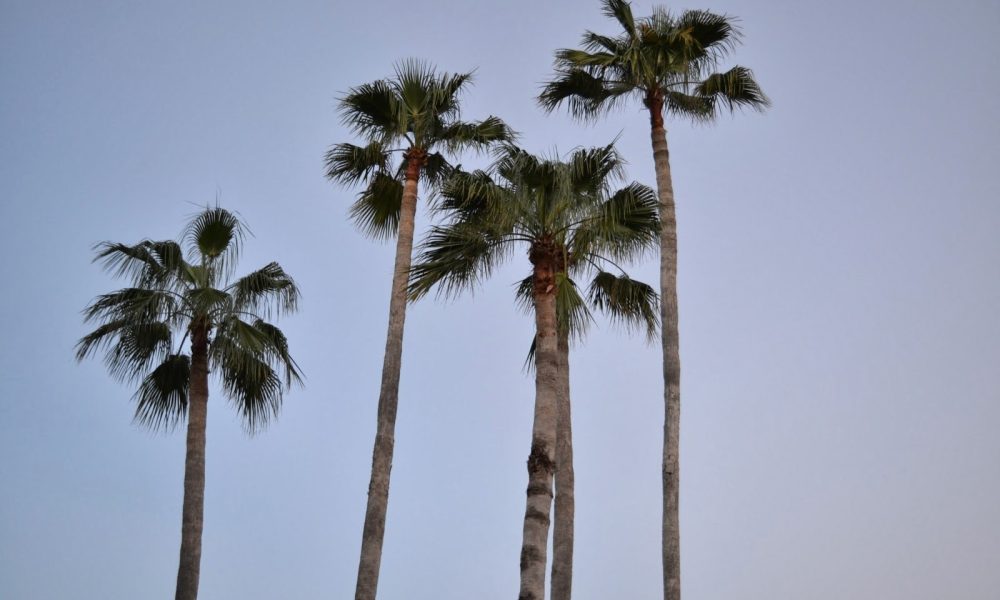 Huth, Pratt & Milhauser, PLLC