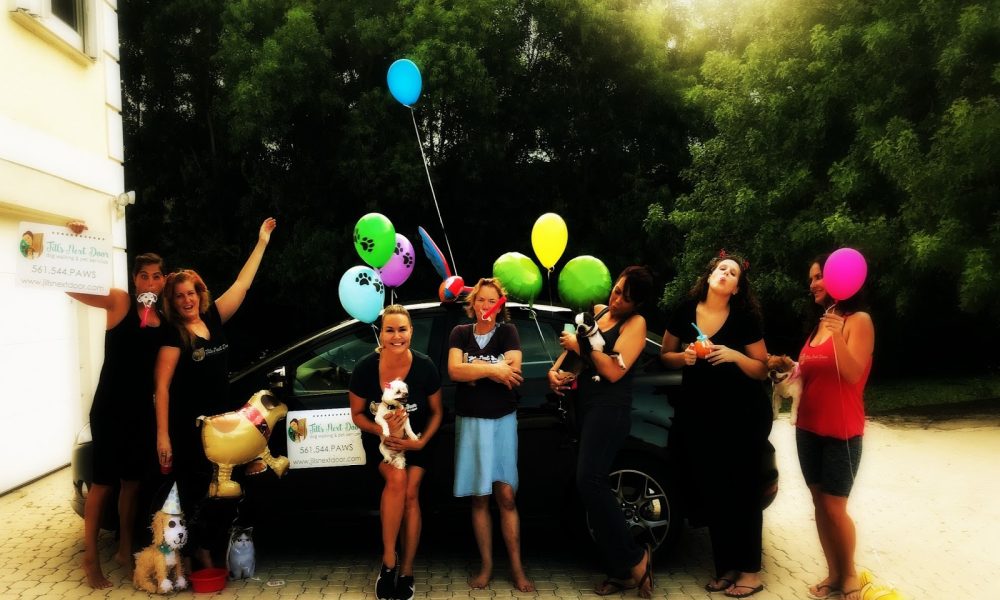 Jill's Next Door Dog Walking &amp; Pet Services, LLC