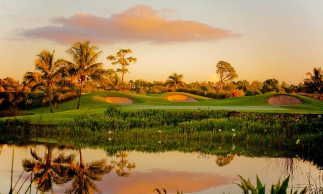 Lake and Wetland USA, LLC.