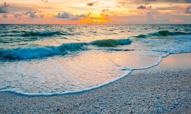 Ocean Coast Home Watch Services