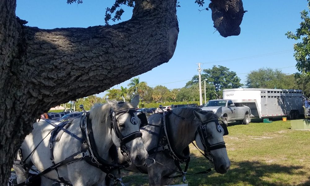 Pioneer Park Recreation Sprvsr