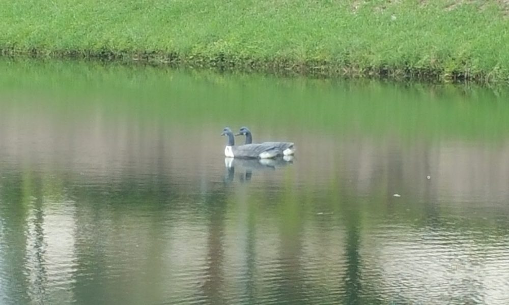 Prosegur EAS USA LLC