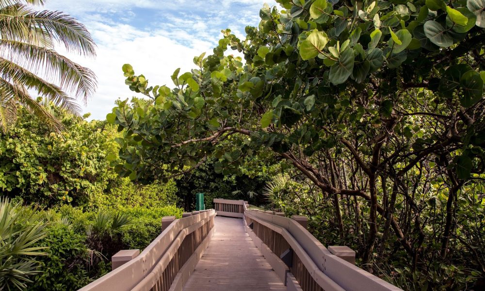 Red Reef Park Executive Golf Course