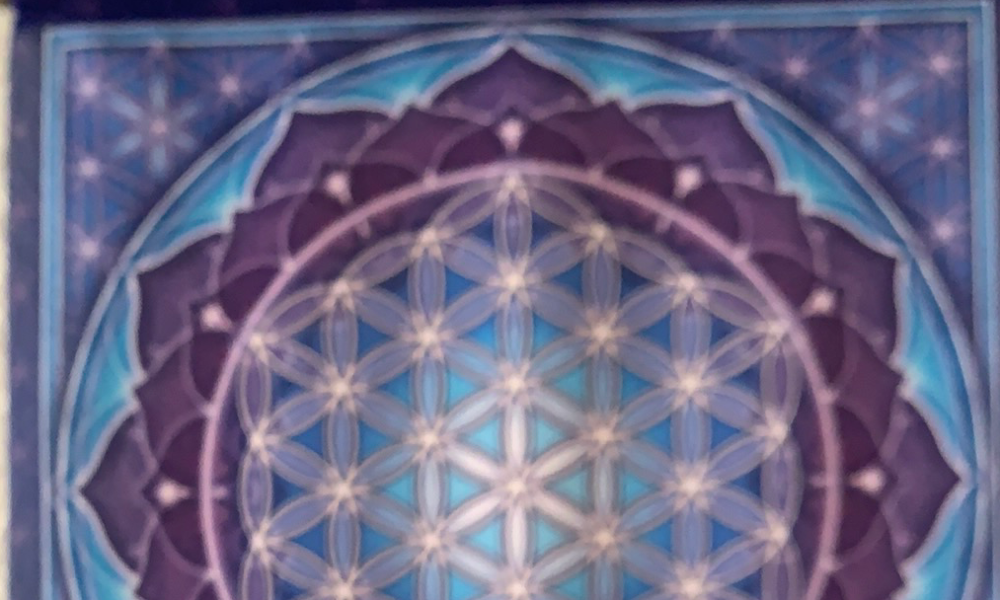 Robyn Berman LMHC CAP at Reach Higher Healing