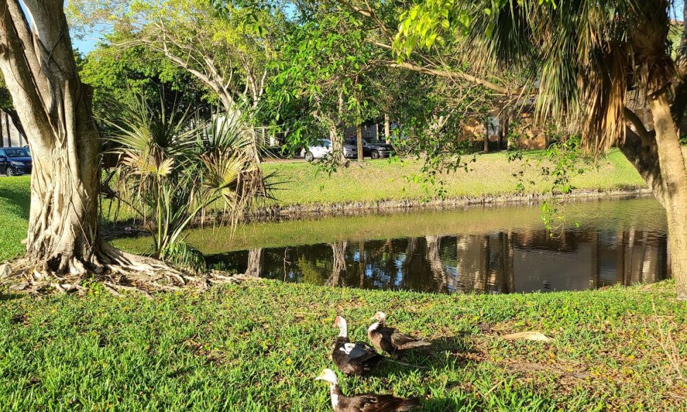 Somerset Place Apartment Homes