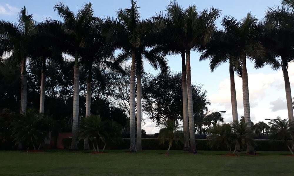 Spanish River Concerts