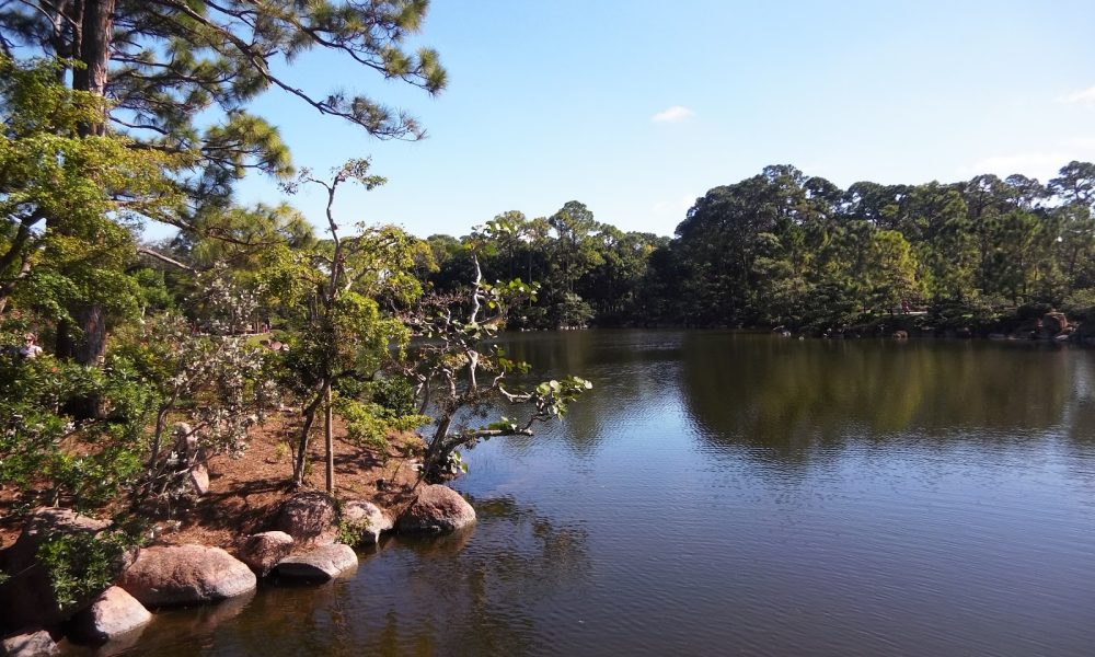 St Andrews Country Club