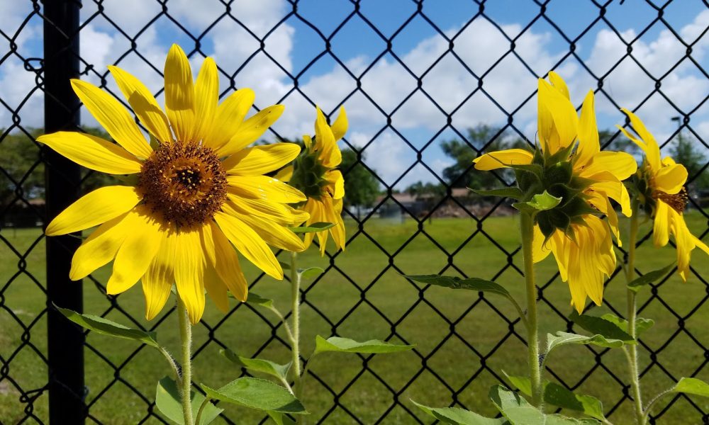 St. Jude Catholic School