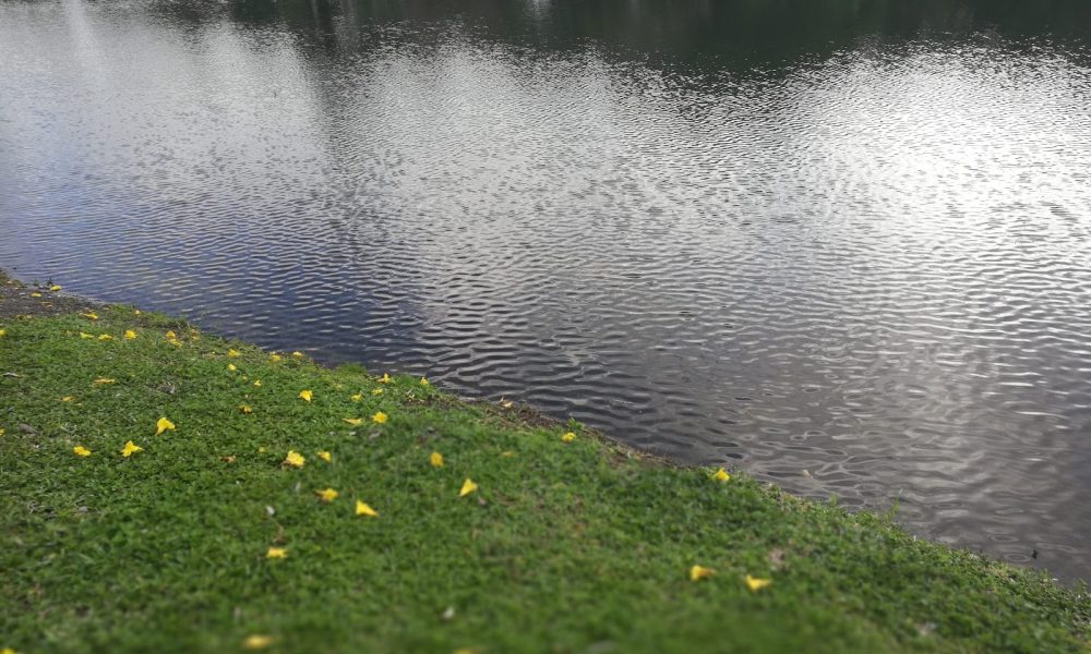 Via Mizner Golf & Country Club