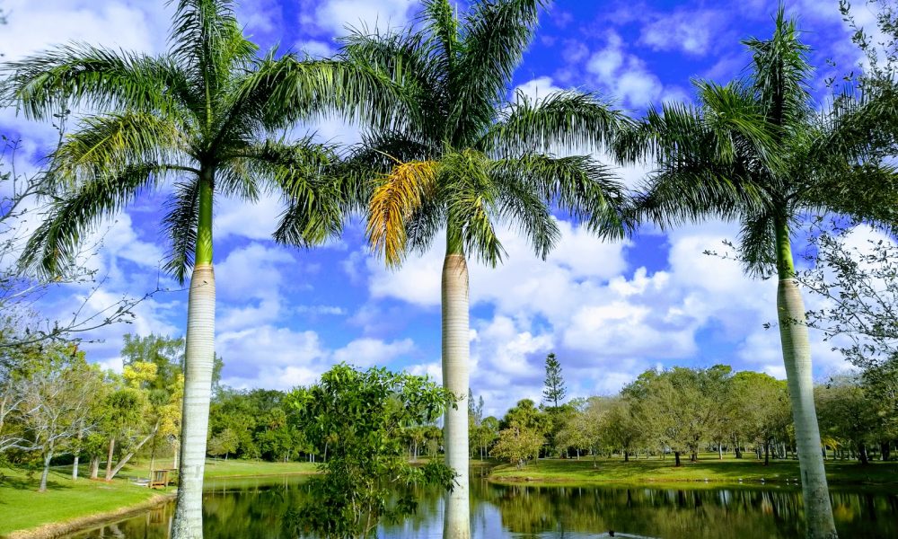 Via Mizner Golf &amp; Country Club