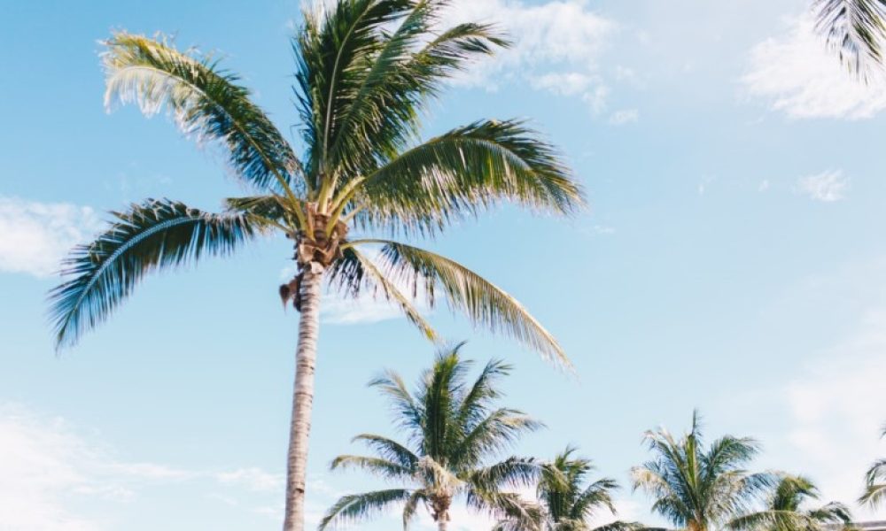 Wellness Resource Center