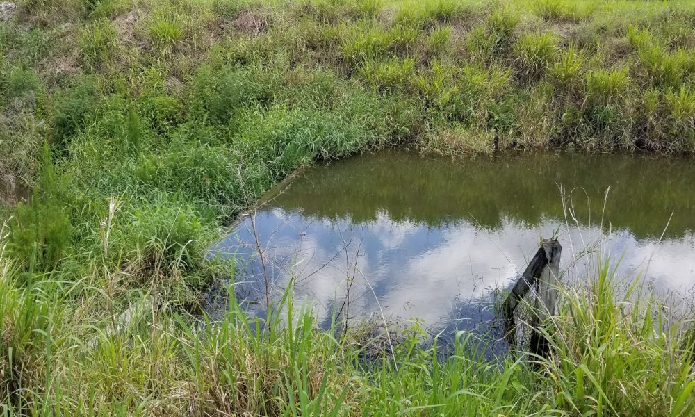 Woodfield Country Club