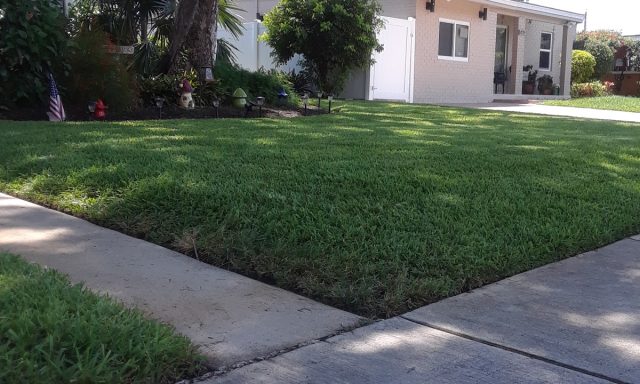 Boca lawn service
