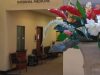 Johnson Internal Medicine