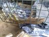 Raccoonsrus Animal Wildlife & Bee Experts