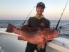 Sea Sea Marine Sales & Services