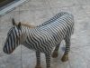 SoBe Antiques Estate Buyers