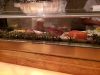 Sushi Ray