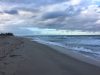 Weekend Dog Beach