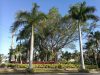 ARIUM Boca Raton