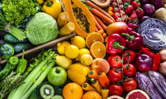Boca Dietitian