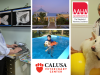 Calusa Veterinary Center