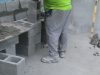 Db Ecological Services Inc