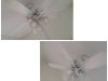 Lotos Cleaning Services