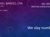Michael Barkes, C.P.A., P.A.