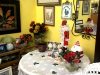 Tri-County Animal Rescue Thrift Shop