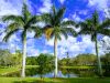 Via Mizner Golf & Country Club