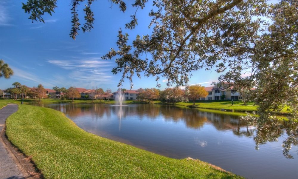 Boca Arbor