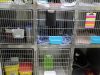 Central Animal Hospital Boca Raton